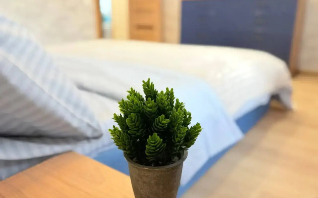 Апартаменты Трехкомнатные VIP в Центре Пензы