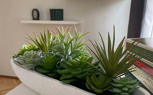 Апартаменты Однокомнатная квартира на Большой Конюшенной 2