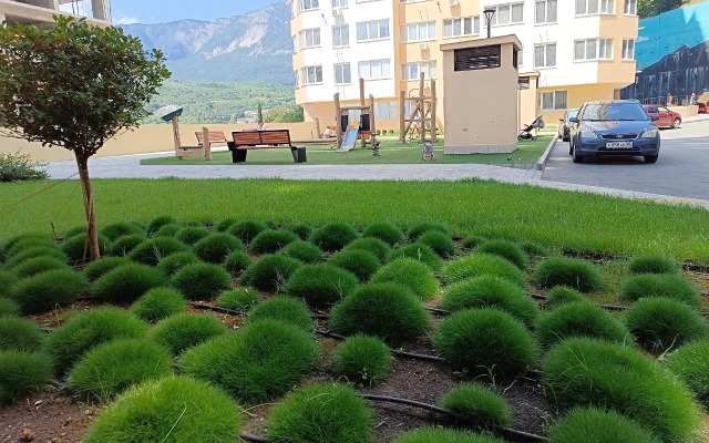 Stilnaya Studiya V Vishnevom Sadu Flat