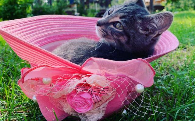 Мини-отель Подснежник