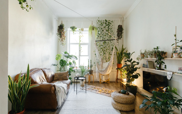 Urban jangle Flat