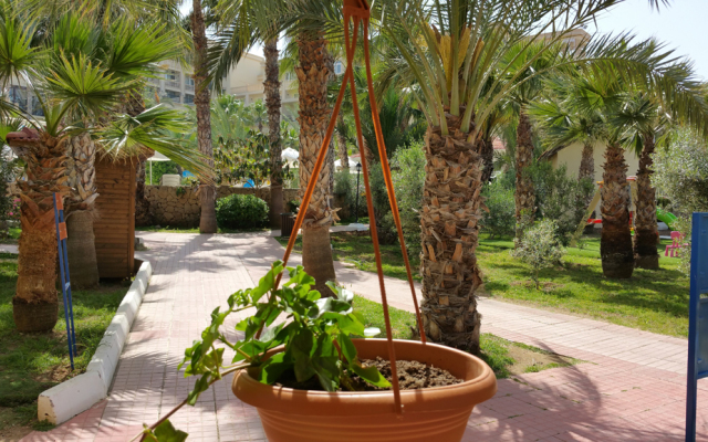 Oscar Resort Hotel