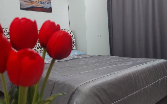 Na Zhdanova 5/36 Apartments