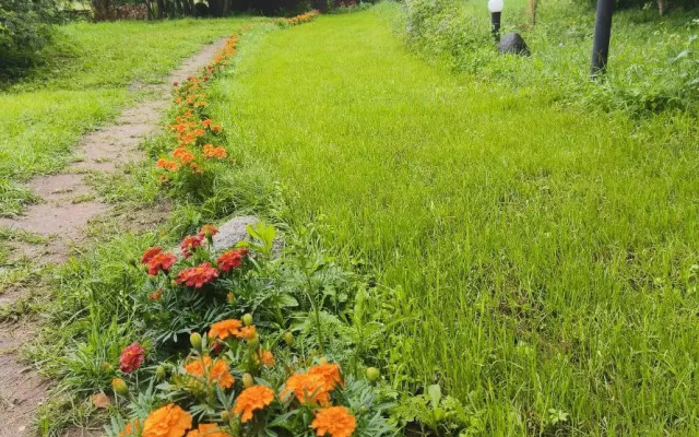 Частный дом в лесу у реки