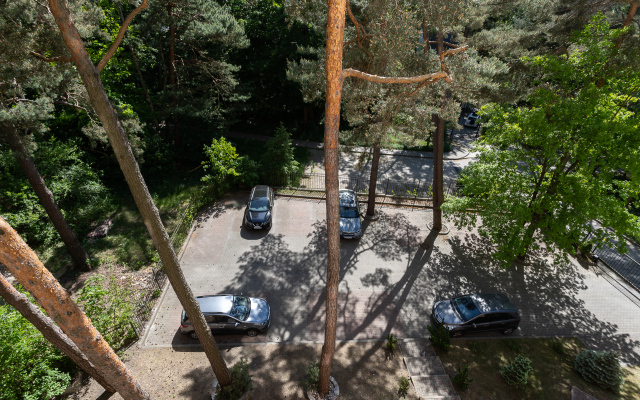 Апартаменты Вид на сосны