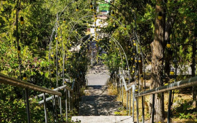 Отель Dream Forest