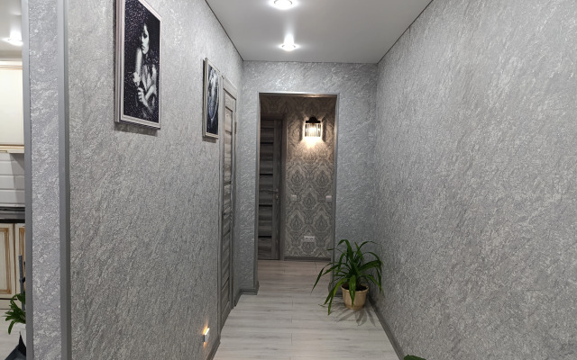3kh Komnatnaya V Tsentre Flat