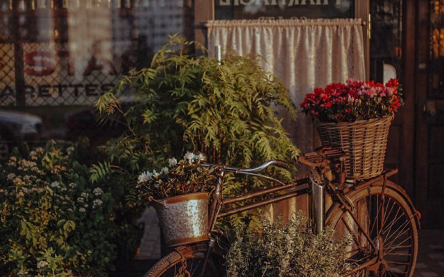 Апартаменты Делюкс Elite Apartments