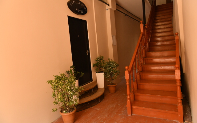 Capsule Plus Hostel