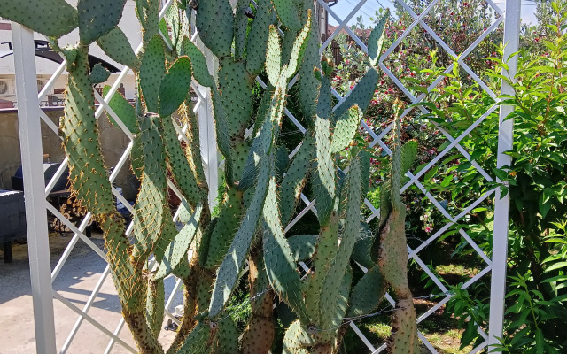 Orel-Izumrud Guest House