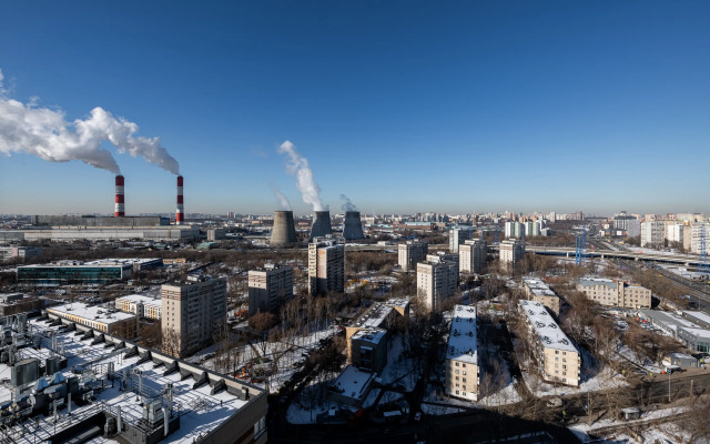 Ezhevichno-Smorodinovyj Tort, vidovaya Flat
