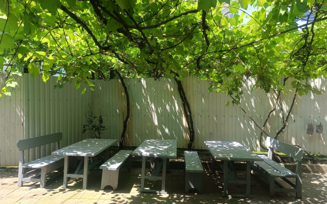 Dzhubga Road Guest House