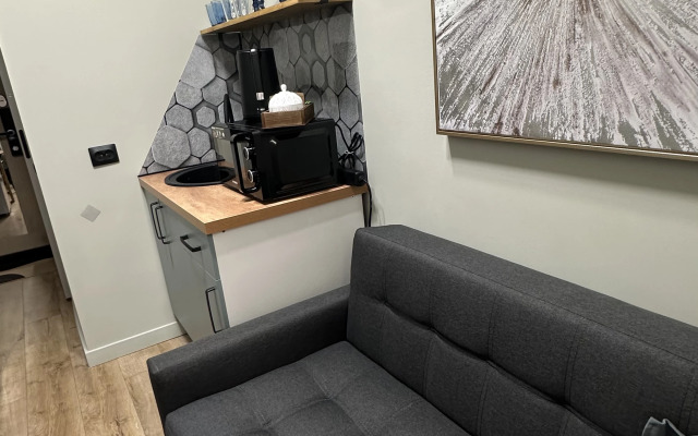 Апартаменты Литейный Проспект 31 двухместные 1