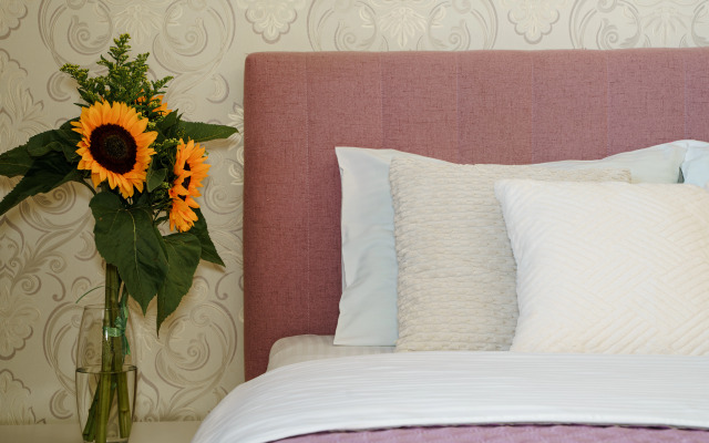 Апартаменты Двухкомнатные Граф Орлов