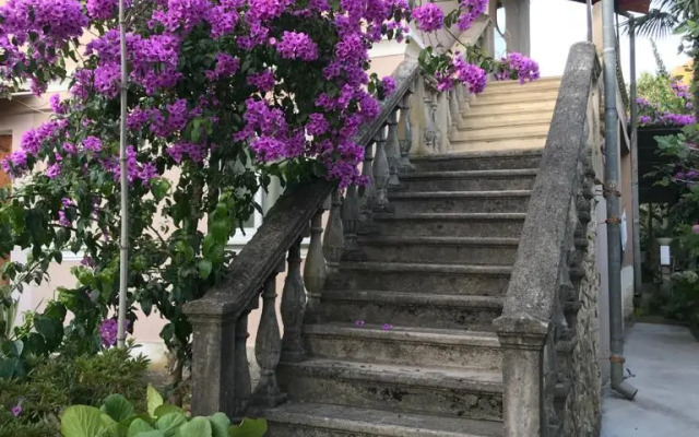 Vegy Guest House