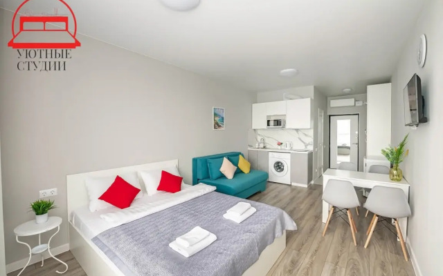 Uyutnaya studiya 2 na Strelkovoj Flat