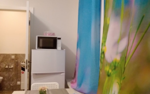 u Griboedova s kodovym dostupom lichnoi kukhnei i ubornoi Flat
