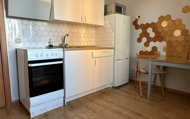 Odnokomnatnaya Vip Kolpino Flat