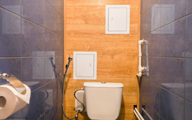 Piter-blizko Flat