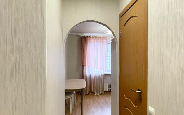 1-K Kvartira v Kazani Flat