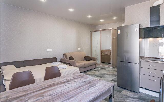 Studiya Lenina 298V Apartments