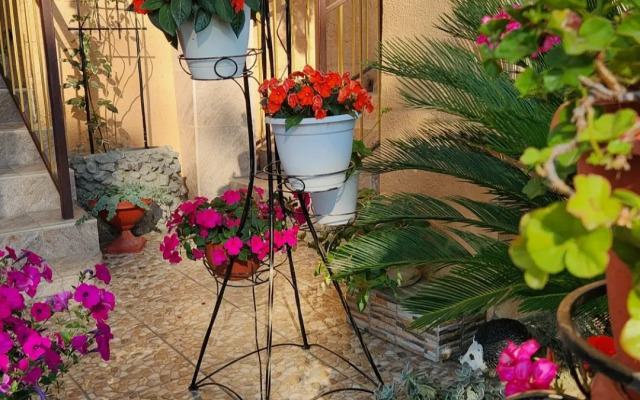 Меблированные комнаты Аэлита