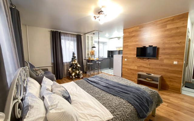 Апартаменты в центре города на Гагарина 3