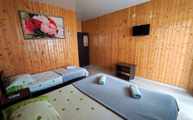 Emiliya Guest House