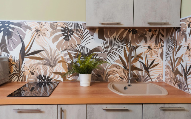 Stydiya ApartHause u m. Botanicheskaya Flat