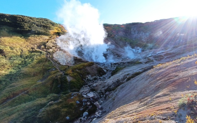 Cottages Goryachaya Sopka