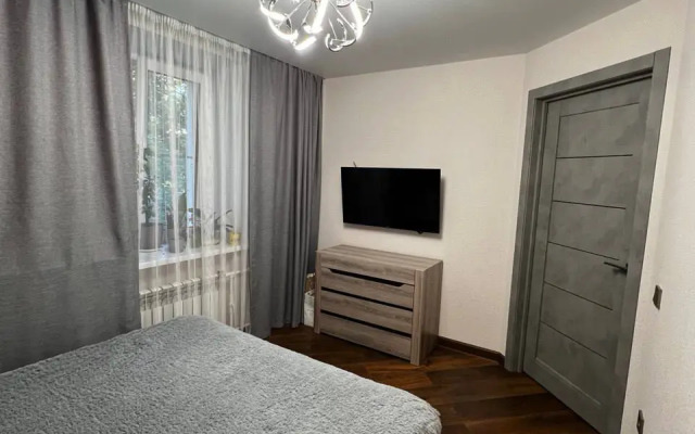 V Tsentre Goroda Flat