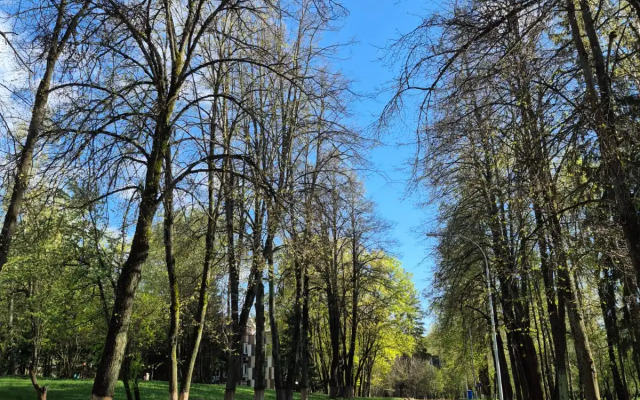 Akter-Ruza Park-Hotel