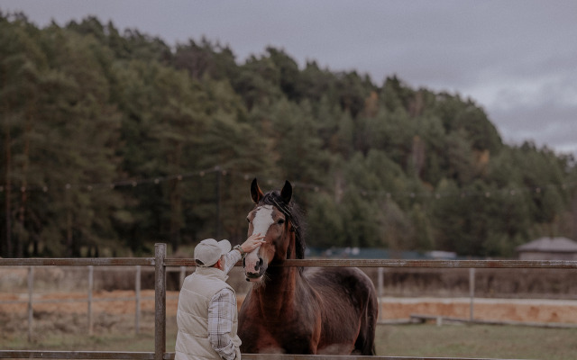 Отель Пайн Ривер