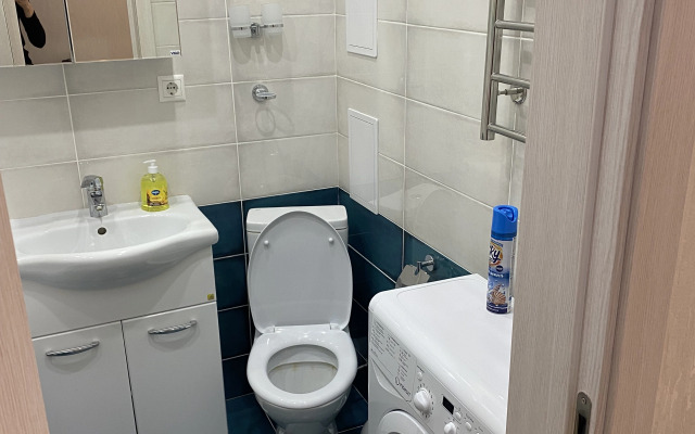 V Tsentre Goroda Flat
