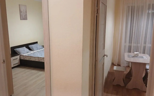 Aday v tsentre goroda Apartments