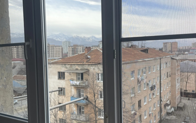 Квартира Просторная квартира на Чапаева