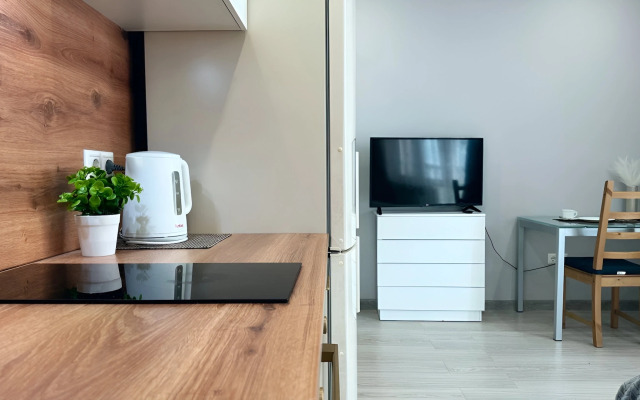 Квартира Студия на Проспекте Ломоносова 98