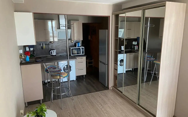 Studiya Na Prospecte Obuhovskoy Oborony Flat