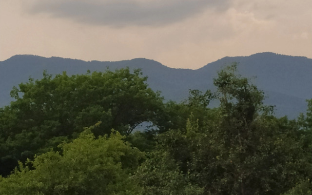 Частный дом Эко-Дача