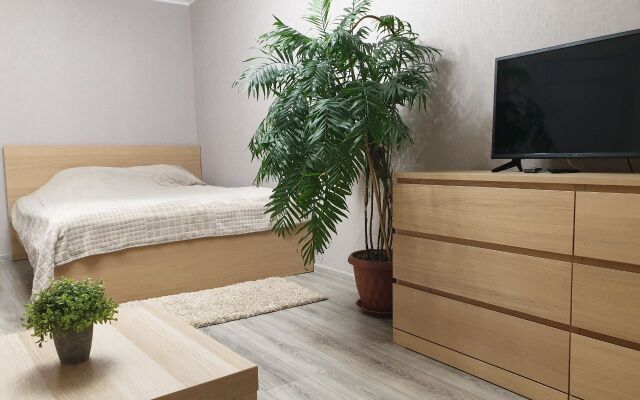 Bestapartpetergof Flat