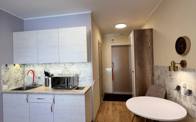 Kulibina u metro Parnas Apartments