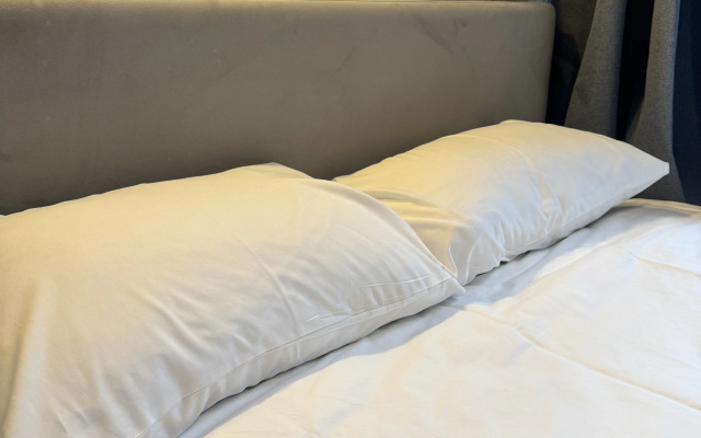 Апартаменты Просторные Hotel-style в Центре СПб Резиденция Чеховъ