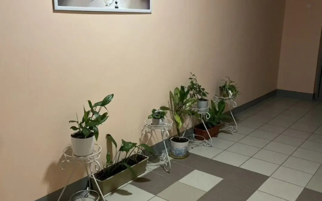 Квартира на Коммунистической 75/2