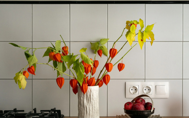 Peterburg Flat