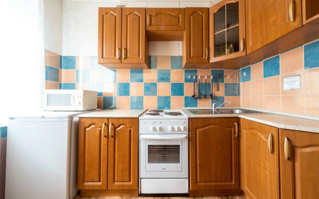 Odnokomnatnyye Passazhir 1 Apartments