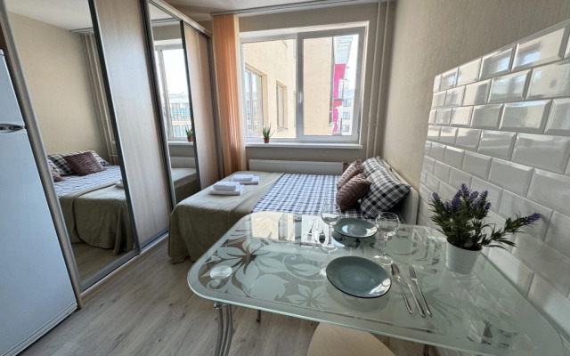 Studiya Standartnaya Layk Mily Dom Apartments