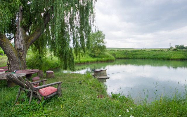 Частный дом Эко Базель