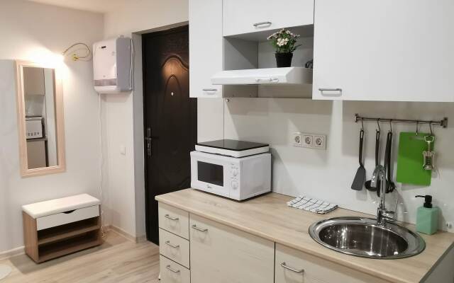 Апартаменты Light Apart в Историческом центре СПБ