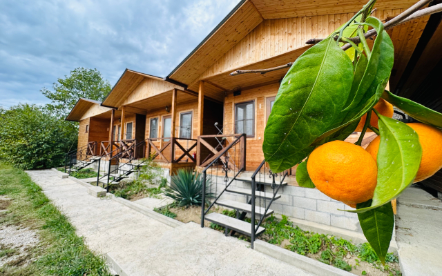 Divny Sad Guest House