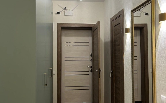 Batterflyaj s kaminom v centre goroda Superior Apartment